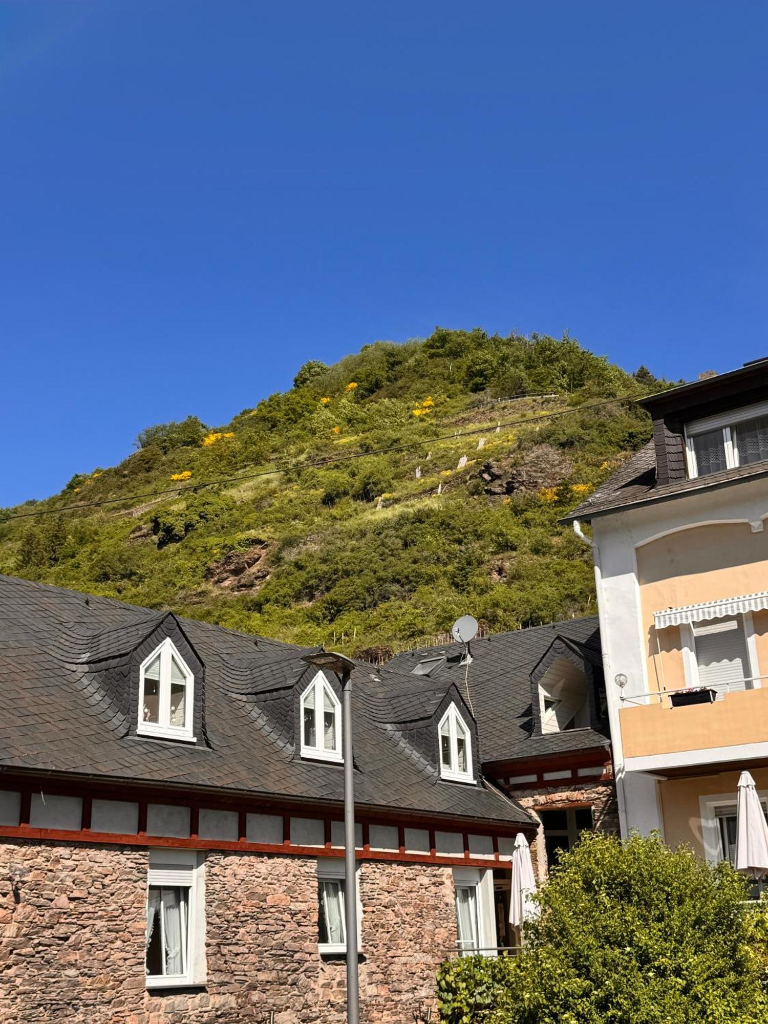 Hotel Ferienweingut Rudorfer Valwig Zimmer foto